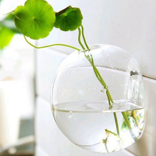 Väggmonterad planteringskruka glas hydroponisk vas blomkruka terrarium boll 12cm