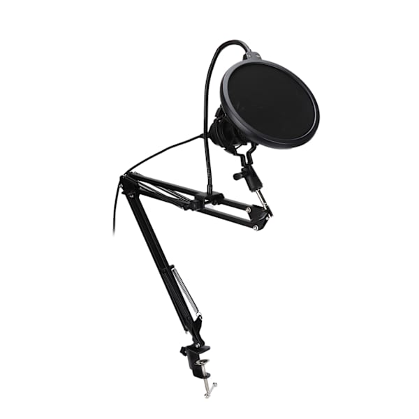 [RM]Professional USB Microphone with Stand for Gaming, Broadcasting, and Podcast Recording