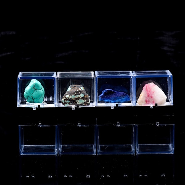 Förpackning Akryl Displayfodral För Djurfigurer 3D Modell Samling 3x3x3.5cm