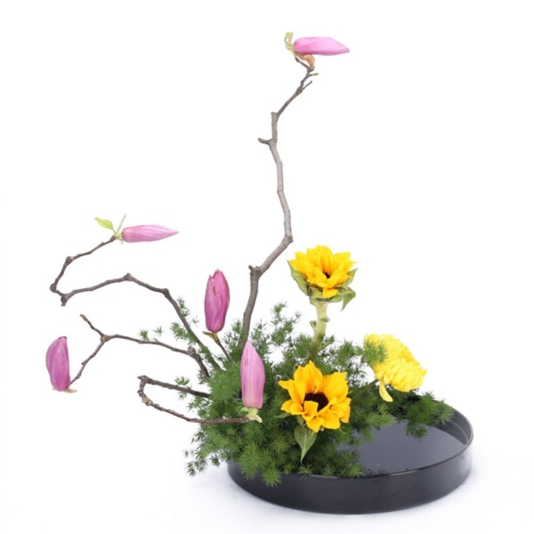 rund plast ikebana vas suiban kruka bonsai blombehållare svart 23cm