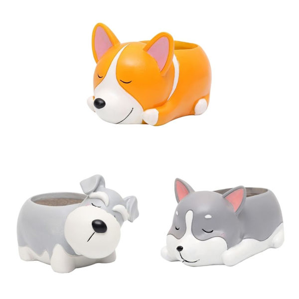 3x Suckulent Växter Planter Mini Växtkruka Hem