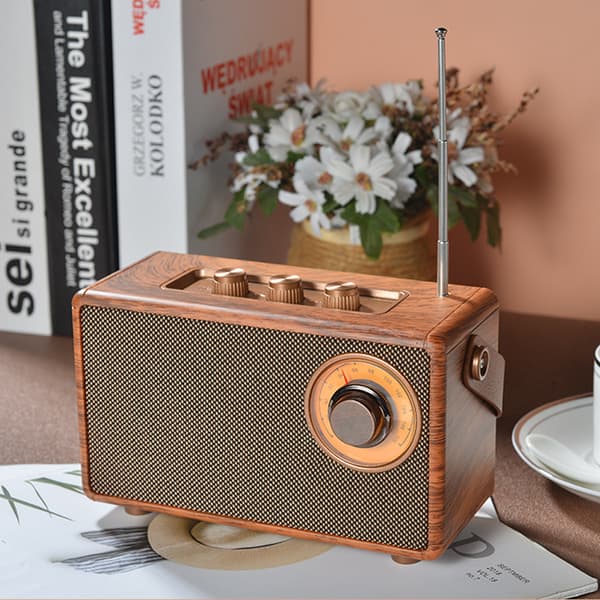 [RM]Bluetooth FM/AM Radio with Rotary Dial, Espresso
