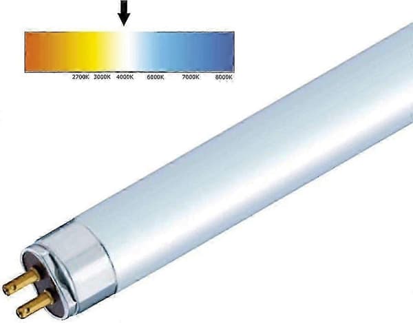 T5 Lysrör 3-pack 549mm 840 Kallvitt 4000K FH1840 Hög Effektivitet