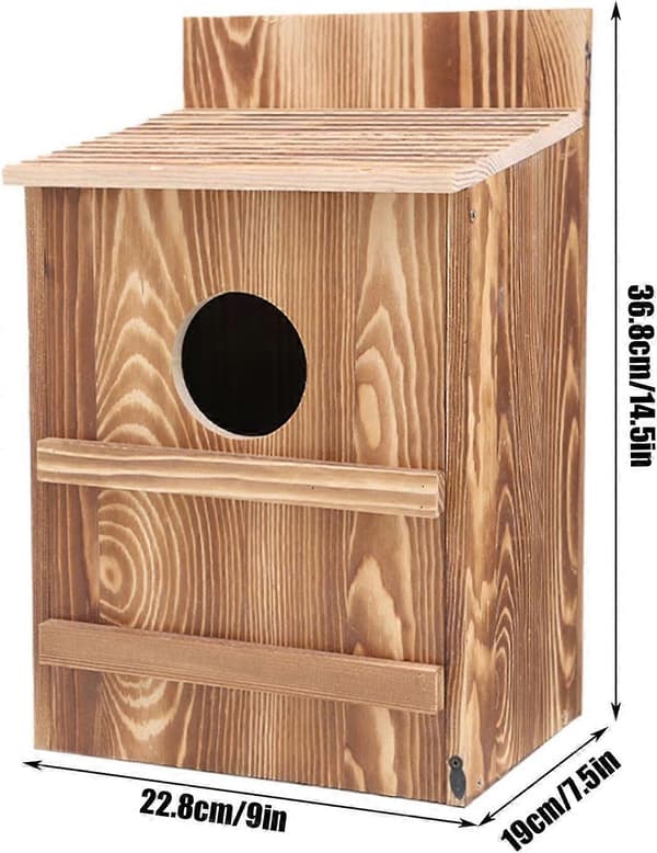 Owl Nesting Boxes in Wood for Kestrels | Easy Assembly, Large Size, Outdoor Use
