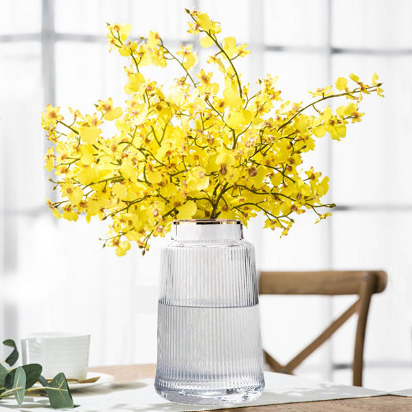 Glasvas Blomsterdisplay Bordsdekoration Hydroponiska Vaser Klar 20cm