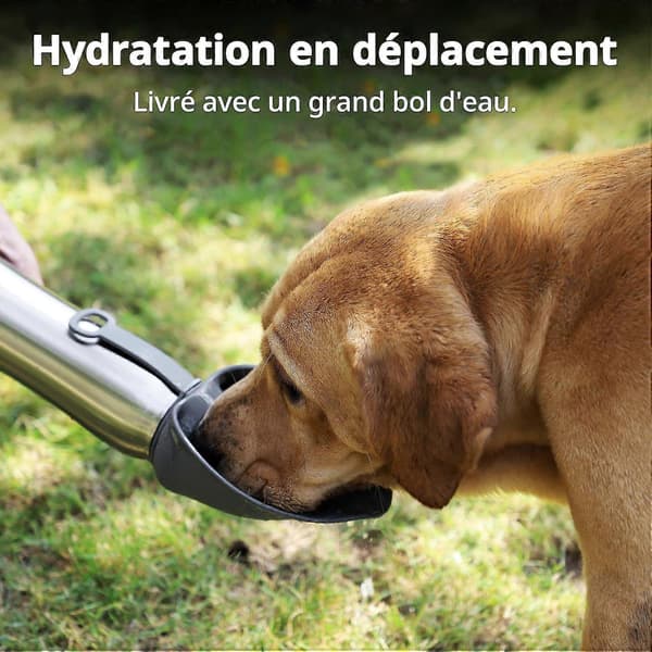 Isolerad vattenflaska för hund, 750 ml, dubbelväggig