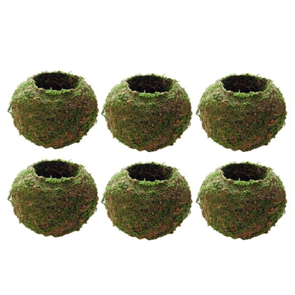 Blomkrukor Mossboll Ornament Bord