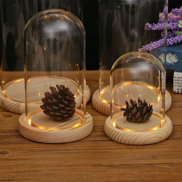 Mikrolandskap F 12x20cm LED Träställ Klar Glasmonter
