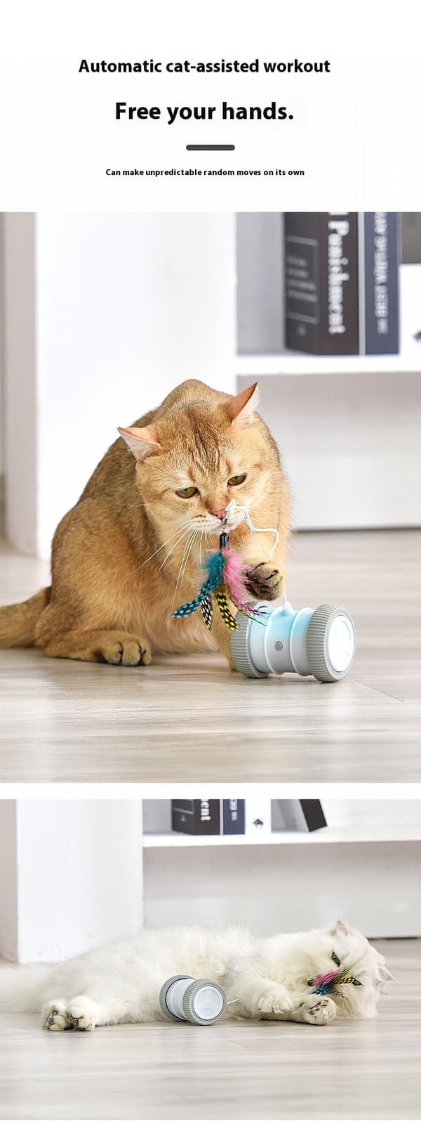 [RM] Electric Cat Toy - Phoesky - Rechargeable - Rolling Wheel with Lights - Interactive Training