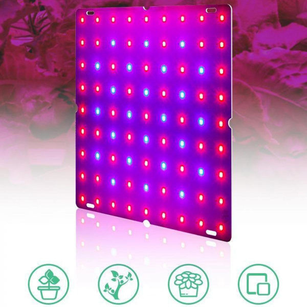 LED Växtlampor Röd Blå Panel Växtlampor För Växter 169 LEDs