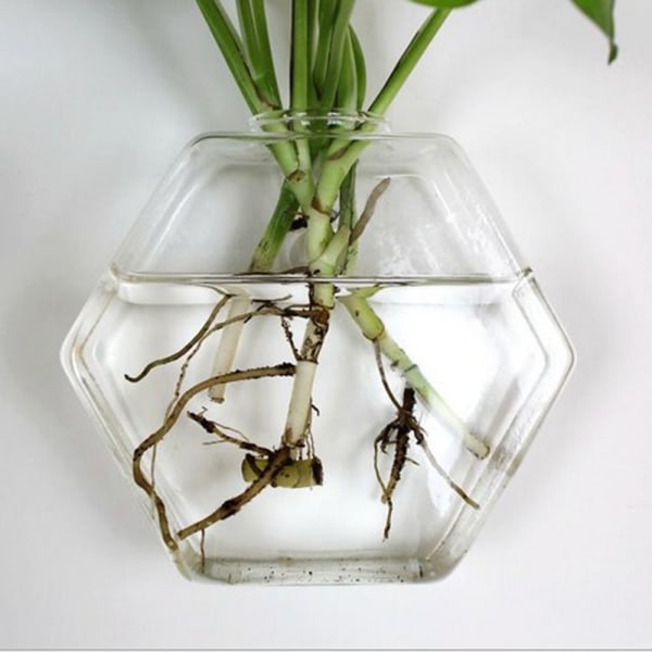 6x Glas Växt Terrarium Växt Vägghängande För Heminredning b268 | Fyndiq