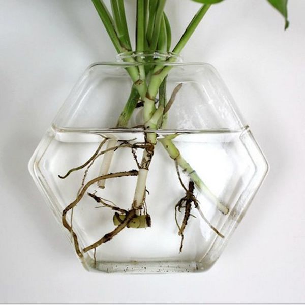 Hydroponisk Vas Hydroponisk Vas Krukväxt Terrarium Hexagon Terrarium 13cm