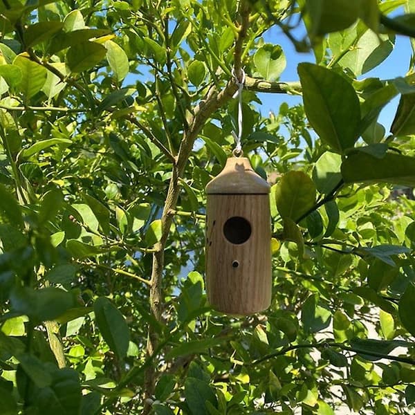 Kolibris-holk, trähus för upphängning utomhus 3 st