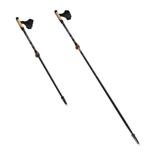 [RM]Carbon fiber walking poles, adjustable length 475