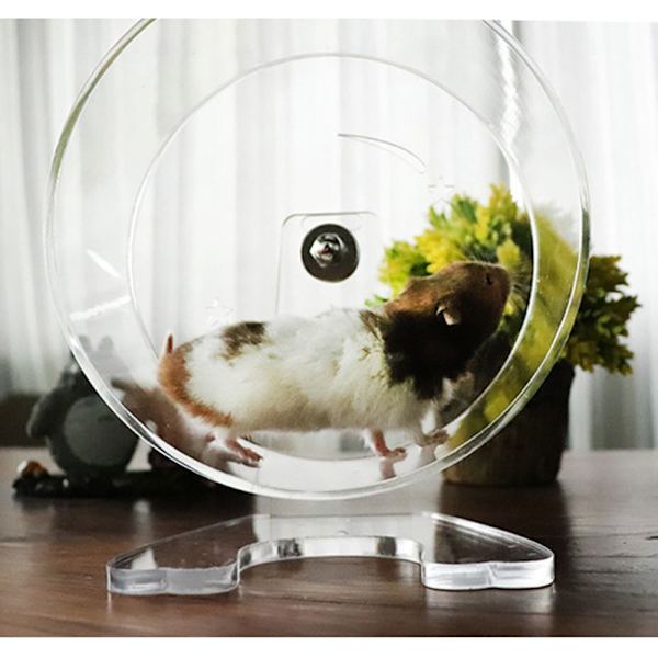 Hamsterboll tillbehör för gnagare