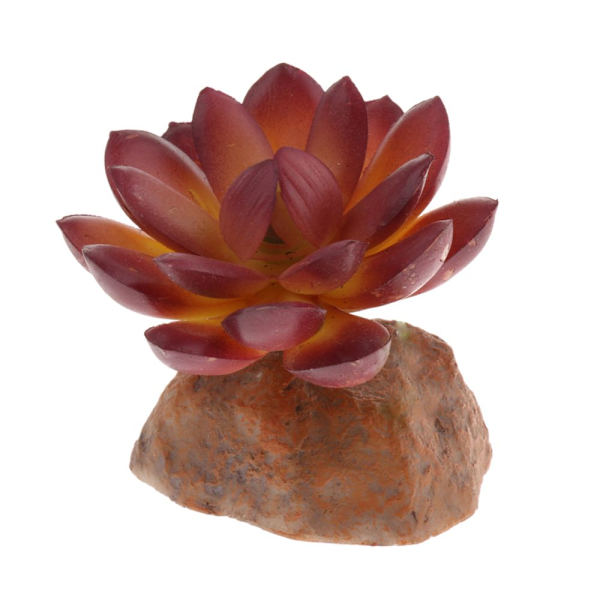 4 st Suckulent Växt Med Hartsbas Reptil Terrarium Ornament Vivarium Vardagsrum