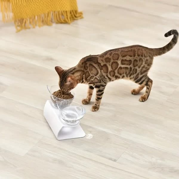 [RM] Elevated Tilted Double Pet Bowl, Cat and Dog Bowls to Protect Pet's Neck