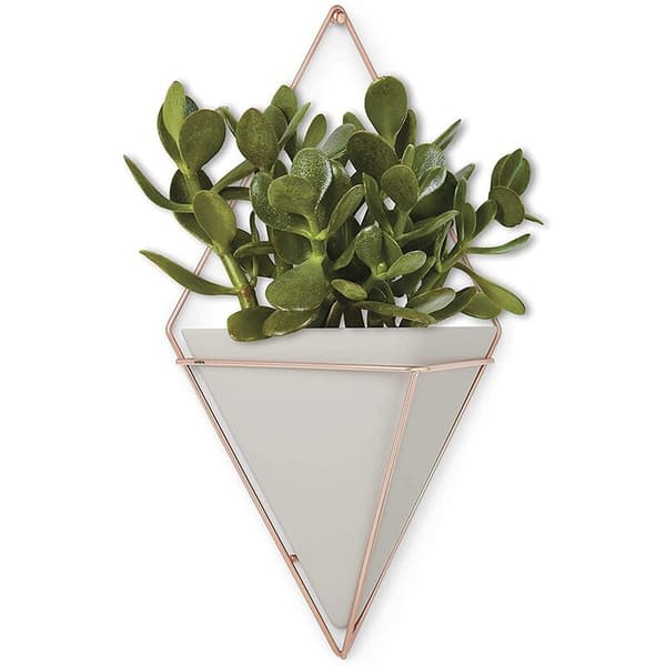 [RM]Gold + White Large Hanging Pot Wall Decor, for displaying small plants, pens and pencils, makeup accessories