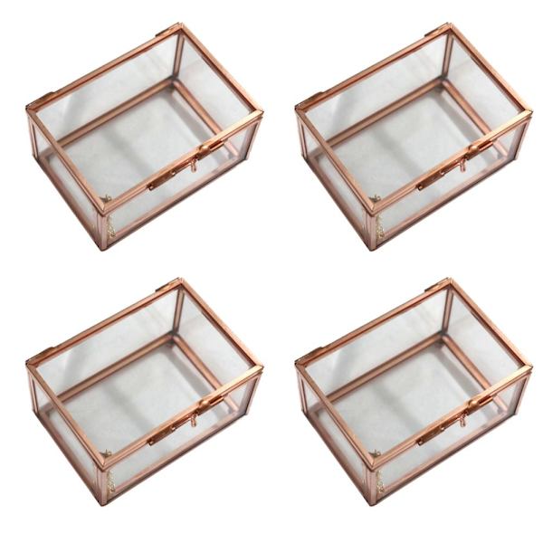 Geometrisk Terrariumställning