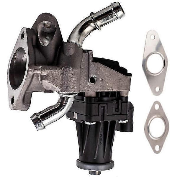 EGR-ventil til Ford Ranger Transit Peugeot Boxer Citroen 2.2 Diesel
