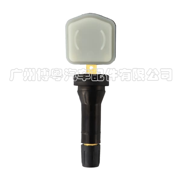 4 stk 802000121AA egnet for Chery Dekktrykksensor Chery Tiggo 35X78 Arrizo bildeler~0048