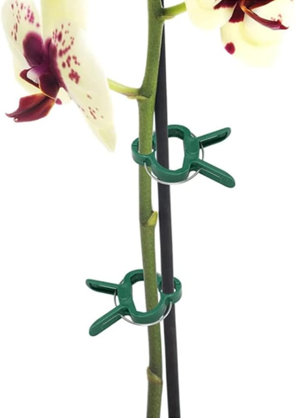 [RM] 80 klips for å feste planter (40 store + 40 små), hjelpemiddel