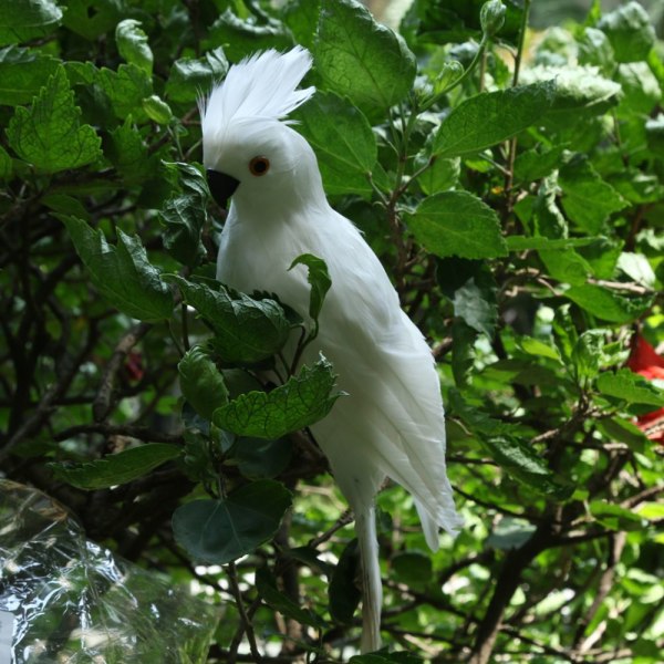 Hantverk Realistiska Levande papegojfigurer Fåglar Modell Trädgårdsprydnad Vit