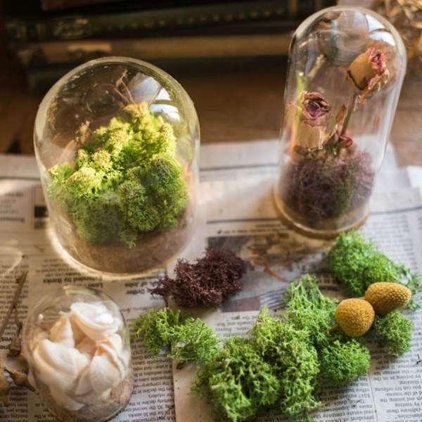 glaslock landskap terrarium behållare lock vas flaska 8x18cm