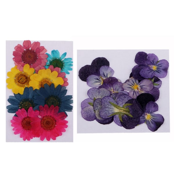 Torkade blommor DIY Floral Art DIY Decors