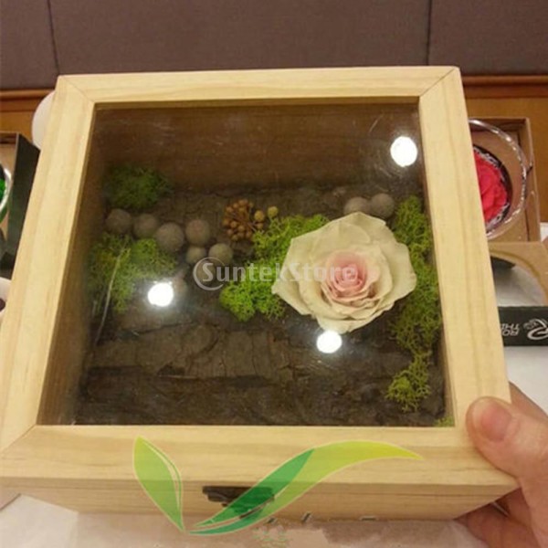 12x12x8cm Enkel Trälåda Omålad Träförvaringslåda Glaslock