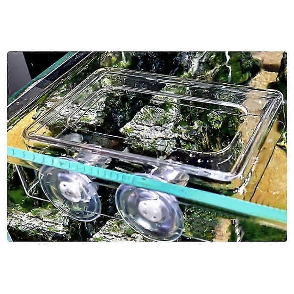 Akvarium Klar Fiskefoderautomat med Sugekop Gennemsigtig Akryl Fisk til Tankstation Flydende Foderfodringsring