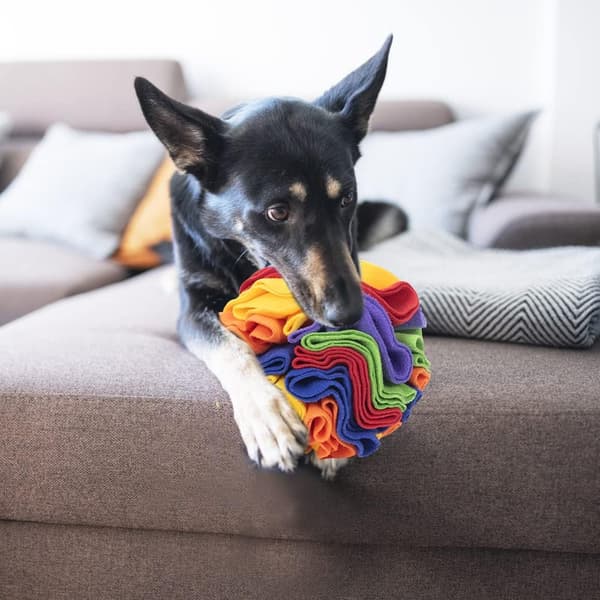 [RM] Snusematte for hunder, interaktiv hundeball, hundepuslespill