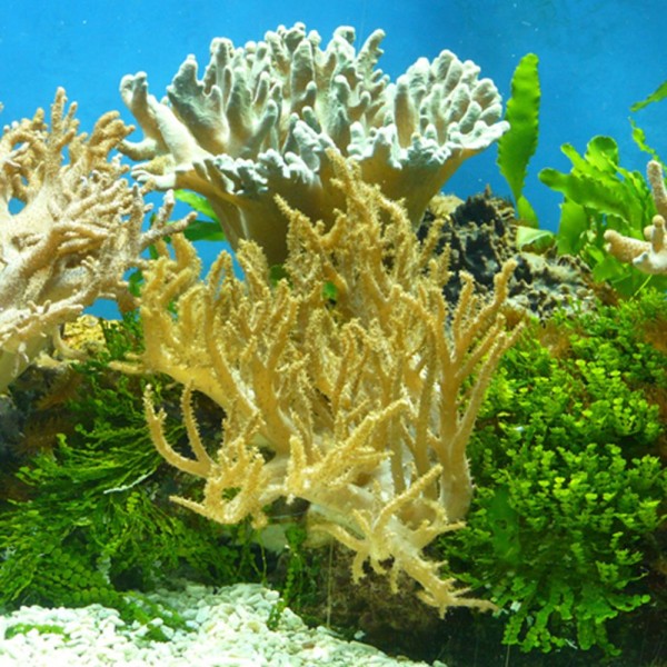 PVC akvarie självhäftande bakgrundsdekal akvarium dekor undervattensgräs s