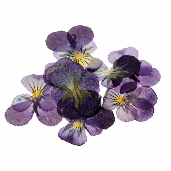 Torkade Blommor DIY Blomsterkonst DIY Dekorationer