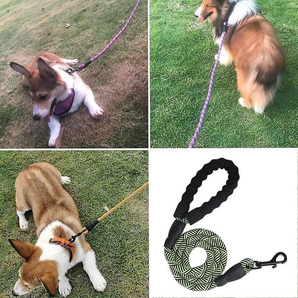 Elastiskt koppelfäste för hundpromenader - Nylonkoppel för stora och medelstora hundar