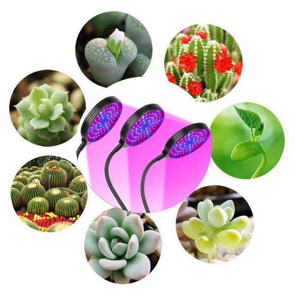 Växtlampa Rött Blått Spektrum Blomster Växtlampa UV Veg Lampor Trippelhuvuden