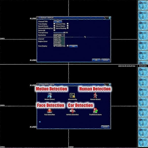 265X 4CH 1080P IP DVR-kort til CCTV-system, XMEYE NVR Green