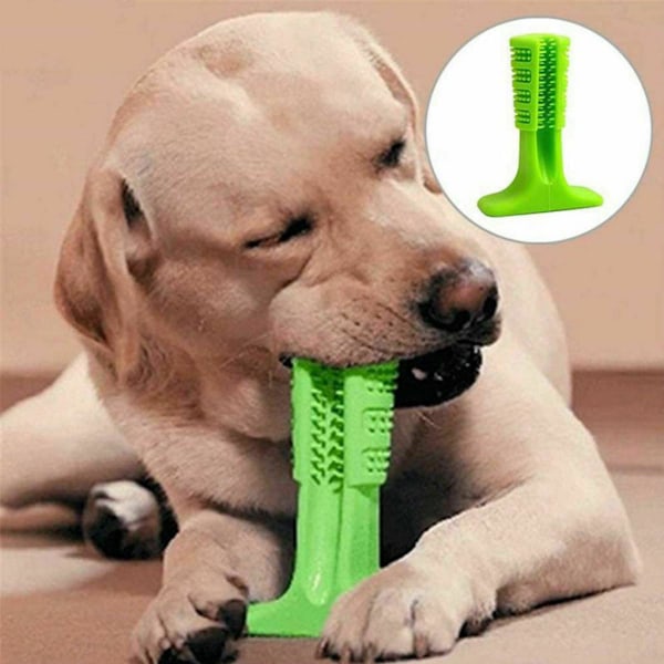 Jouets Pour Chiens Valp Molar Tooth Cleaner Stick Training Dog Chew Toys Green-M