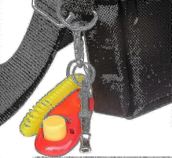 Professionell ultraljuds högfrekvent hundvissla (2-pack) för silver