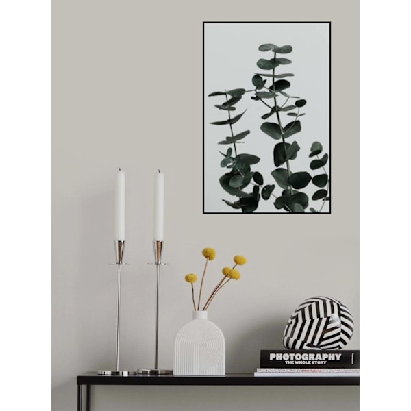 Eucalyptus Natural 11 MultiColor 50x70 cm