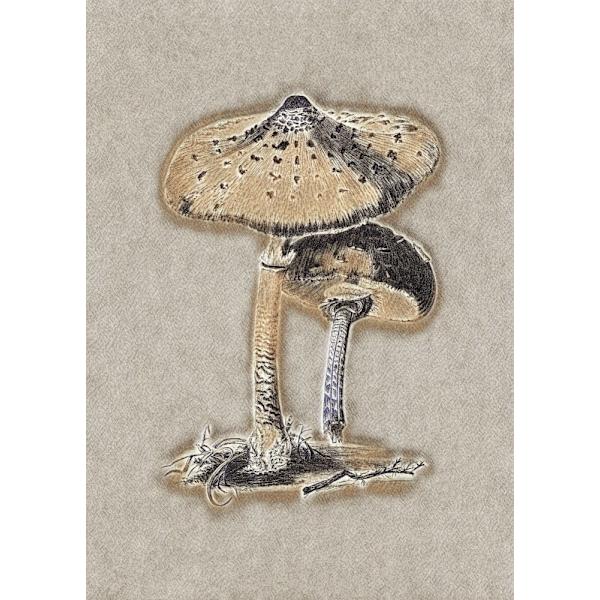 Hand Drawn Parasol Mushroom Brown MultiColor 50x70 cm