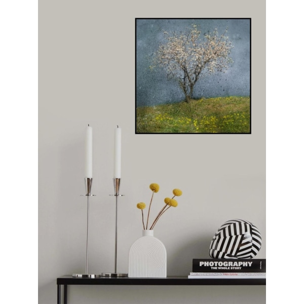 Almond Tree MultiColor 50x70 cm