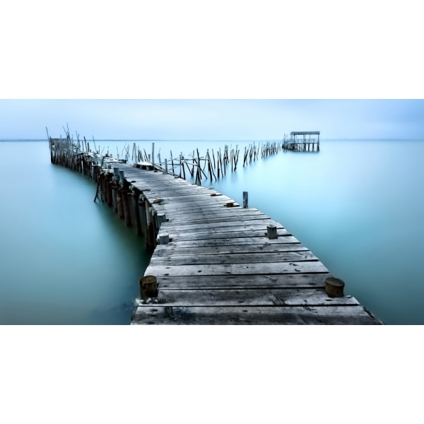 Carrasqueira Ii MultiColor 21x30 cm