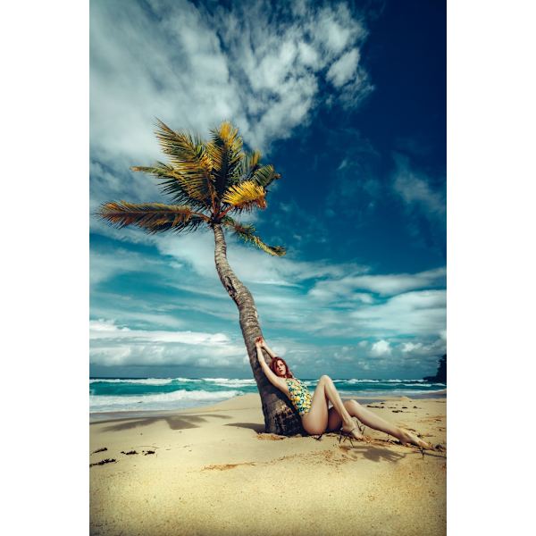 All I Need Is A Palm Tree And A Cool Breeze MultiColor 30x40 cm