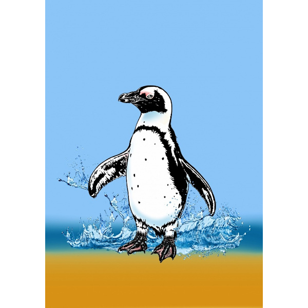 Cute Penguin Splashing MultiColor 70x100 cm