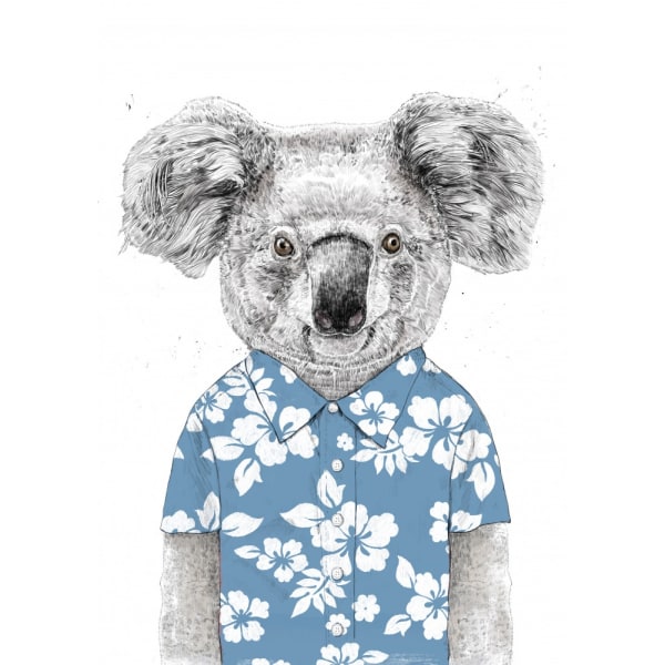 Summer Koala (Blå) MultiColor 70x100 cm