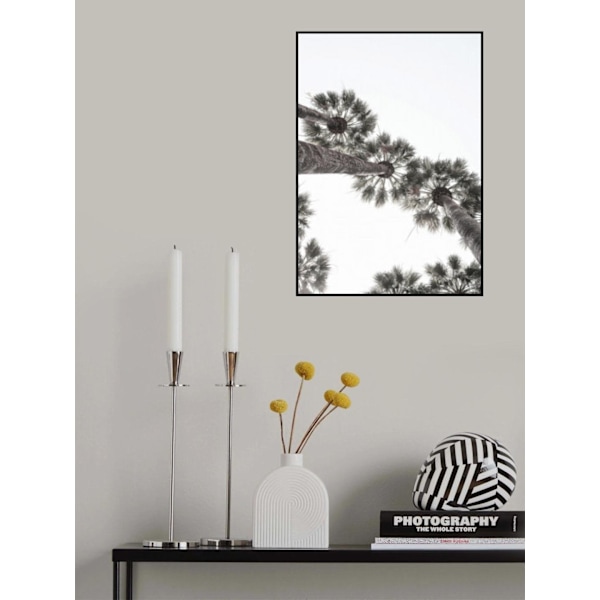 Bodrumin palmut MultiColor 70x100 cm