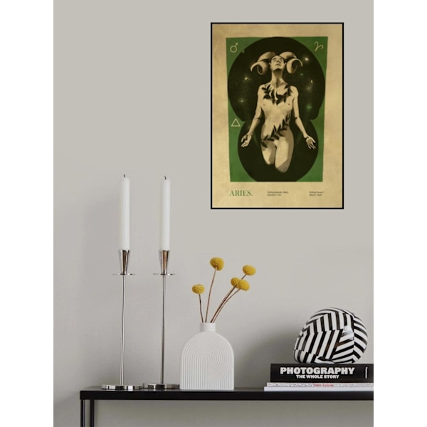 Aries Print MultiColor 30x40 cm