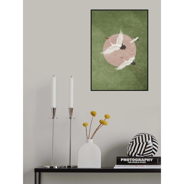 Iso A3 Forest Green MultiColor 70x100 cm