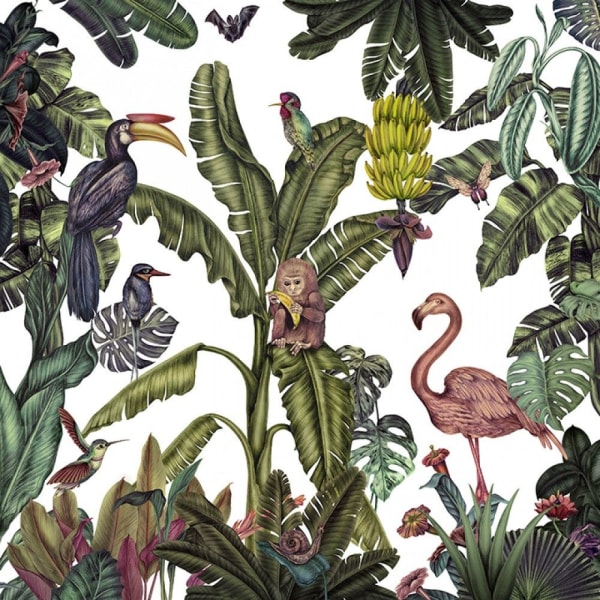 Jungle Beginnings MultiColor 70x100 cm